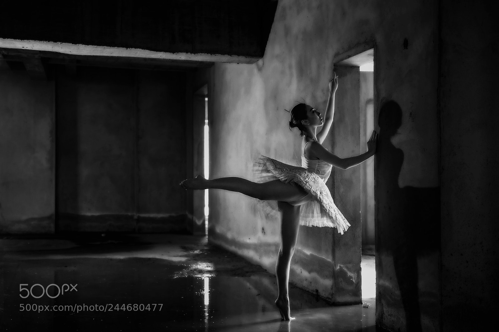 Nikon D4S sample photo. Ballet in light photography