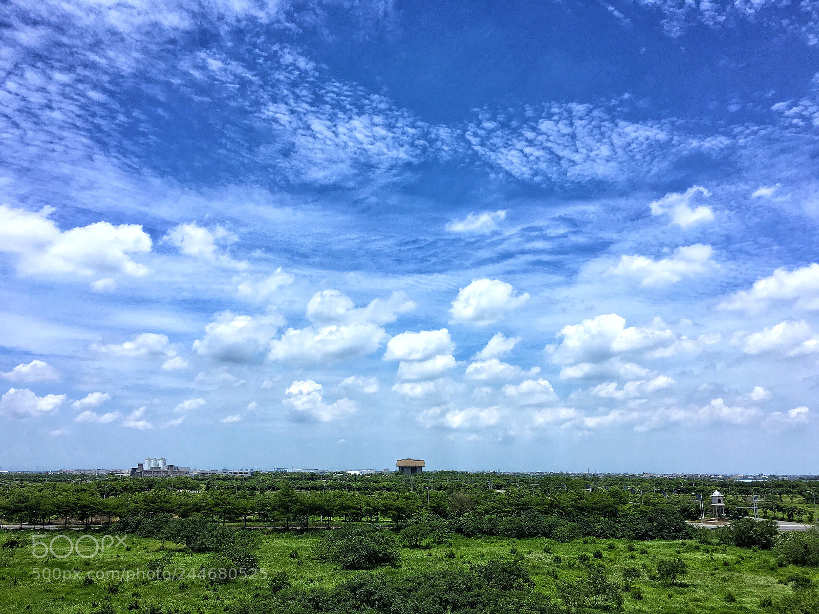 Apple iPhone 6s sample photo. Untitled photography