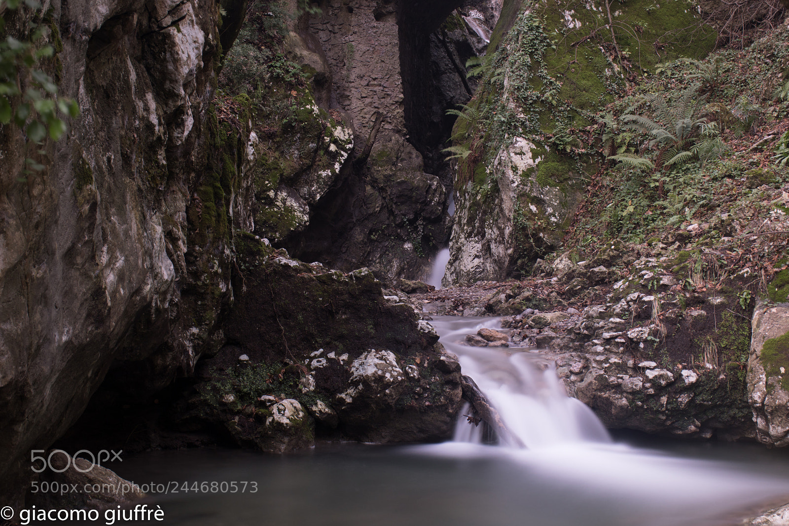 Nikon D5600 sample photo. Valle delle ferriere photography