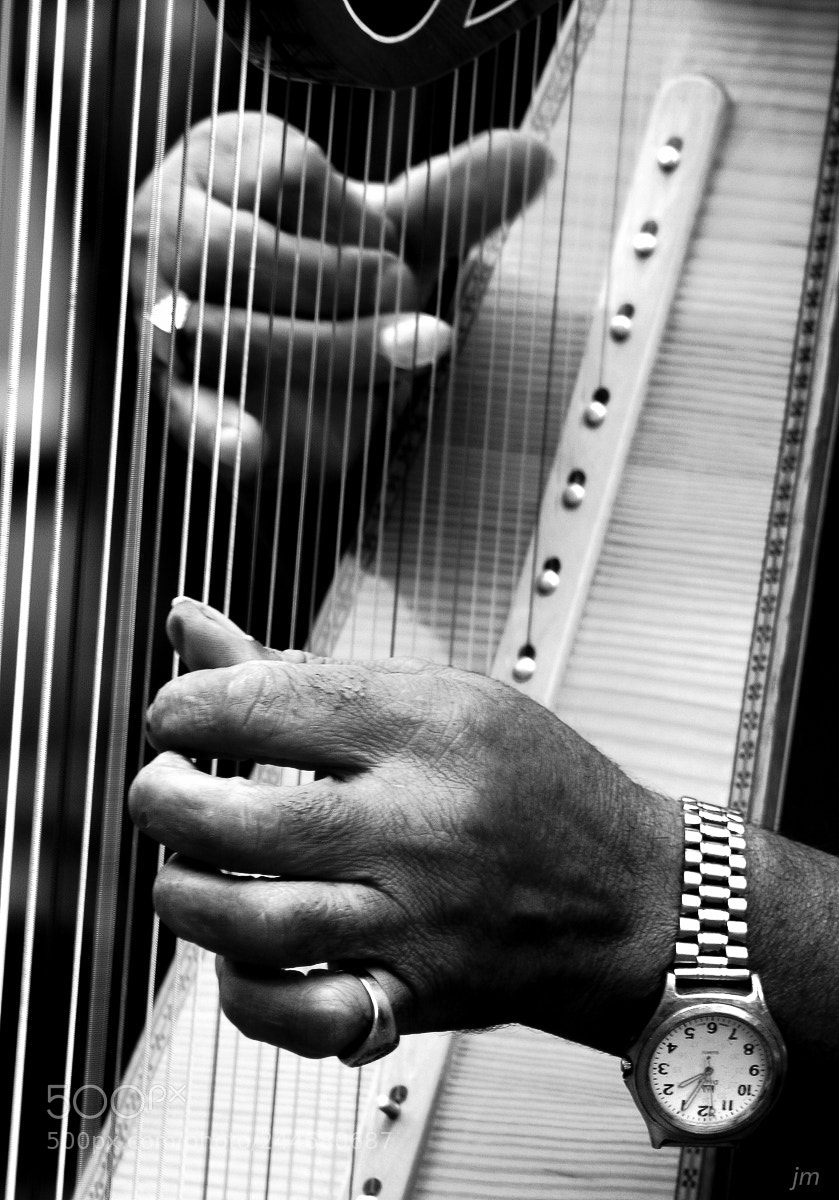 Canon EOS 30D sample photo. Music in the hands photography