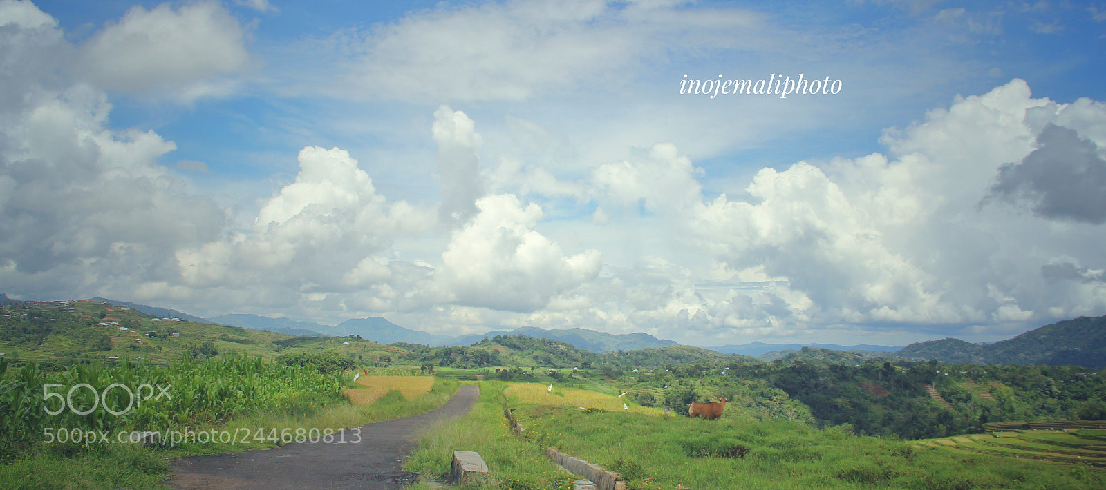 Canon EOS 60D sample photo. Untitled photography