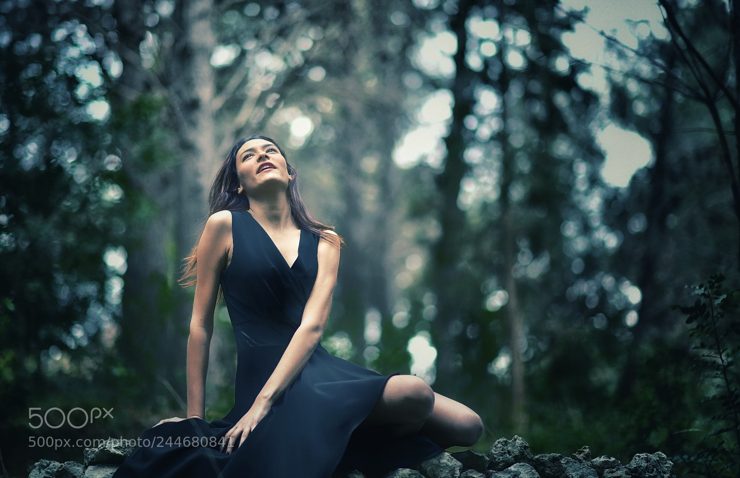 Nikon D850 sample photo. Into the forest photography