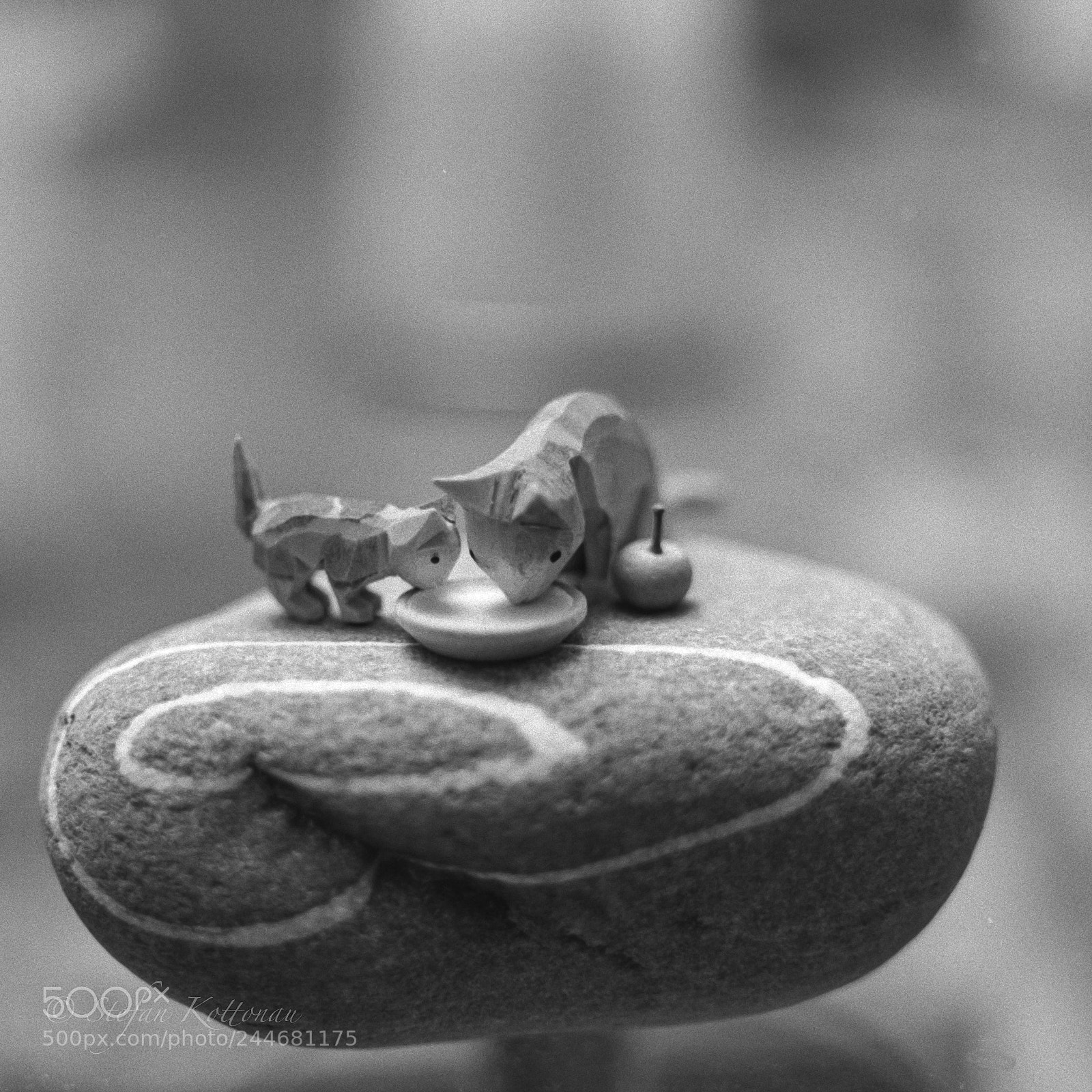 Fujifilm X-E2 sample photo. Cats on the rock photography