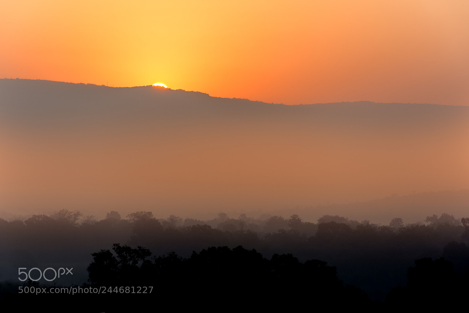 Nikon D7200 sample photo. Foggy morning photography