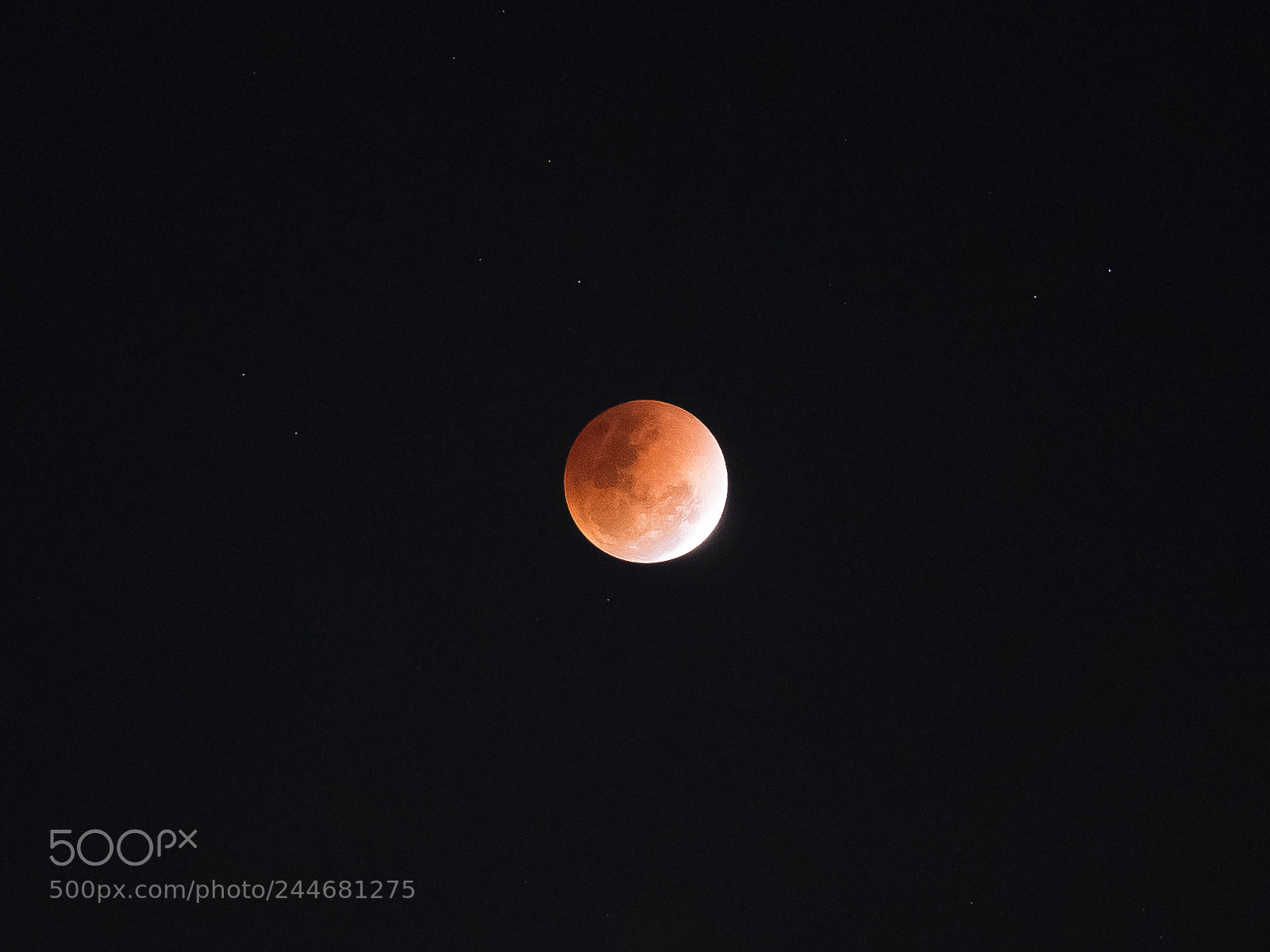 Olympus OM-D E-M10 II sample photo. Eyes on the moon photography