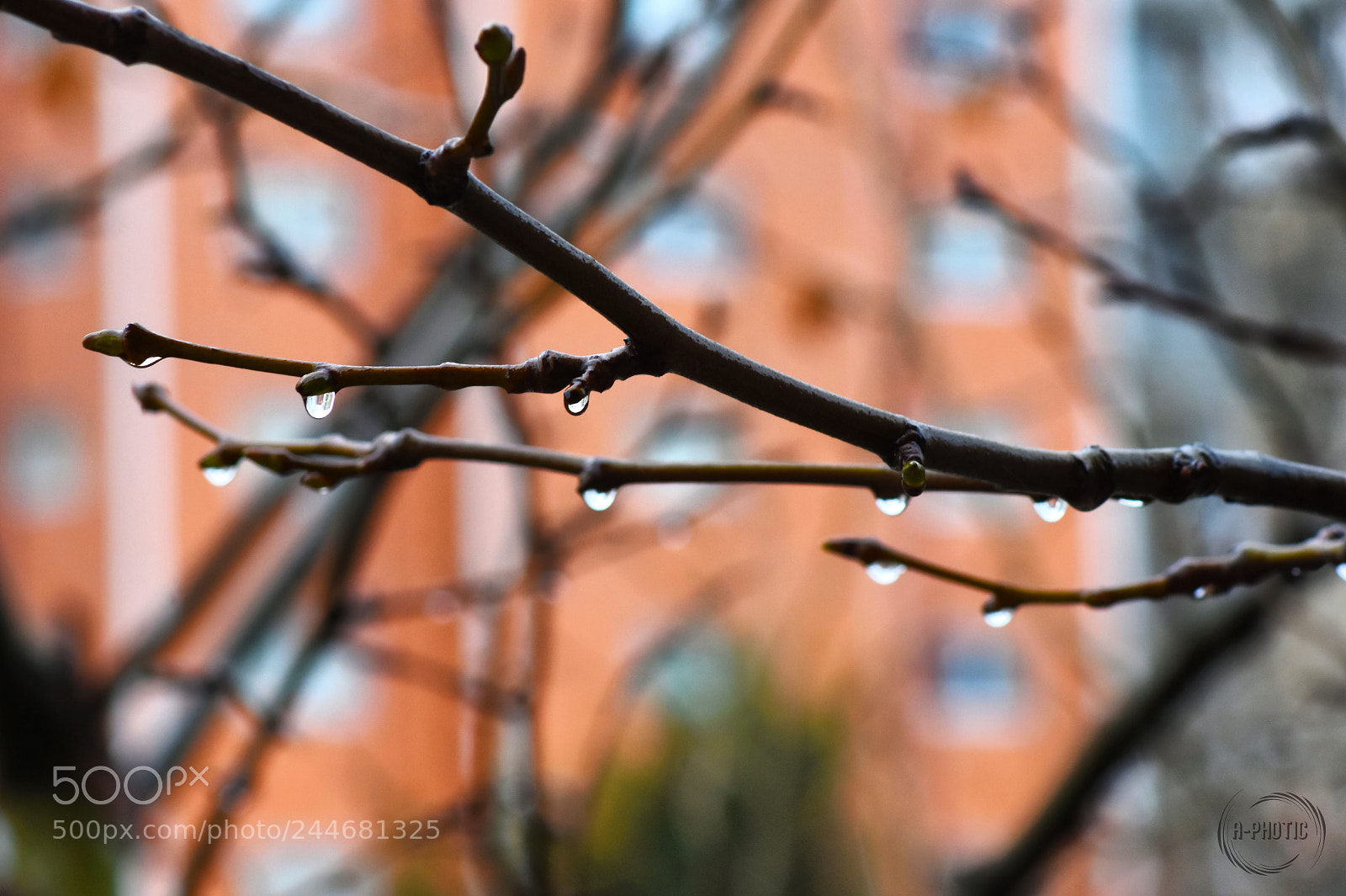 Nikon D7200 sample photo. Precipitation photography