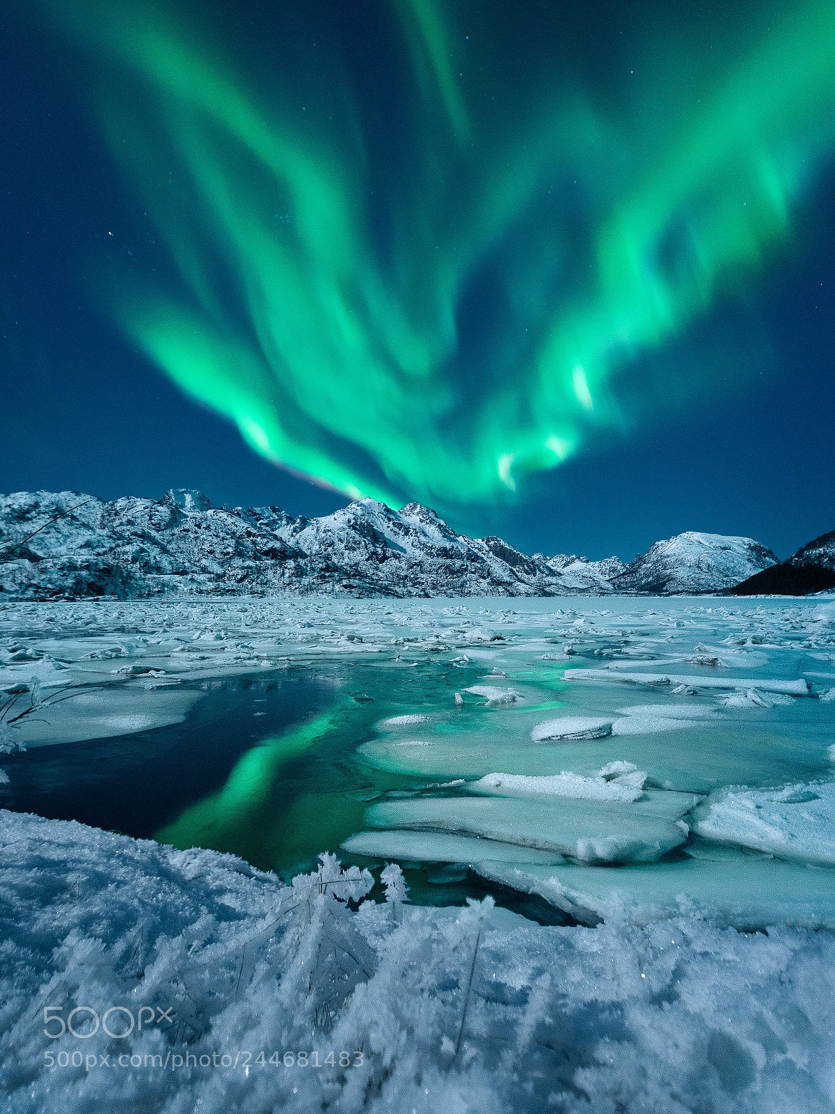 Nikon D800E sample photo. Bjørndalsfjord at night photography