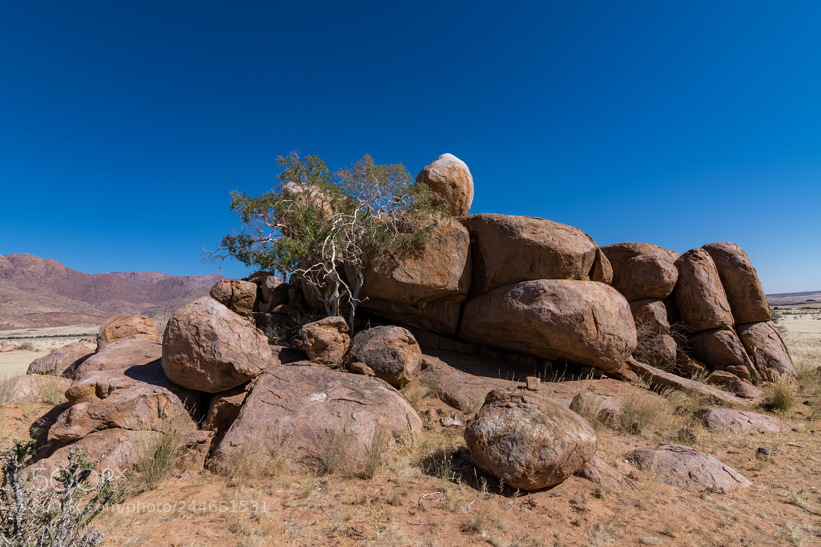 Nikon D7200 sample photo. Brandberg white lady lodge photography