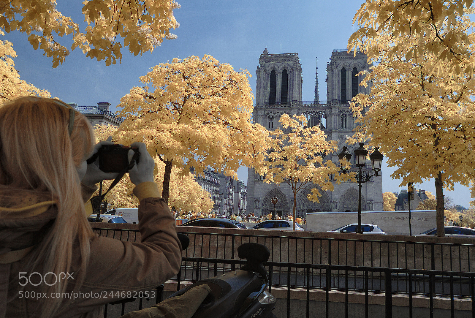 Nikon D200 sample photo. An ir view of photography