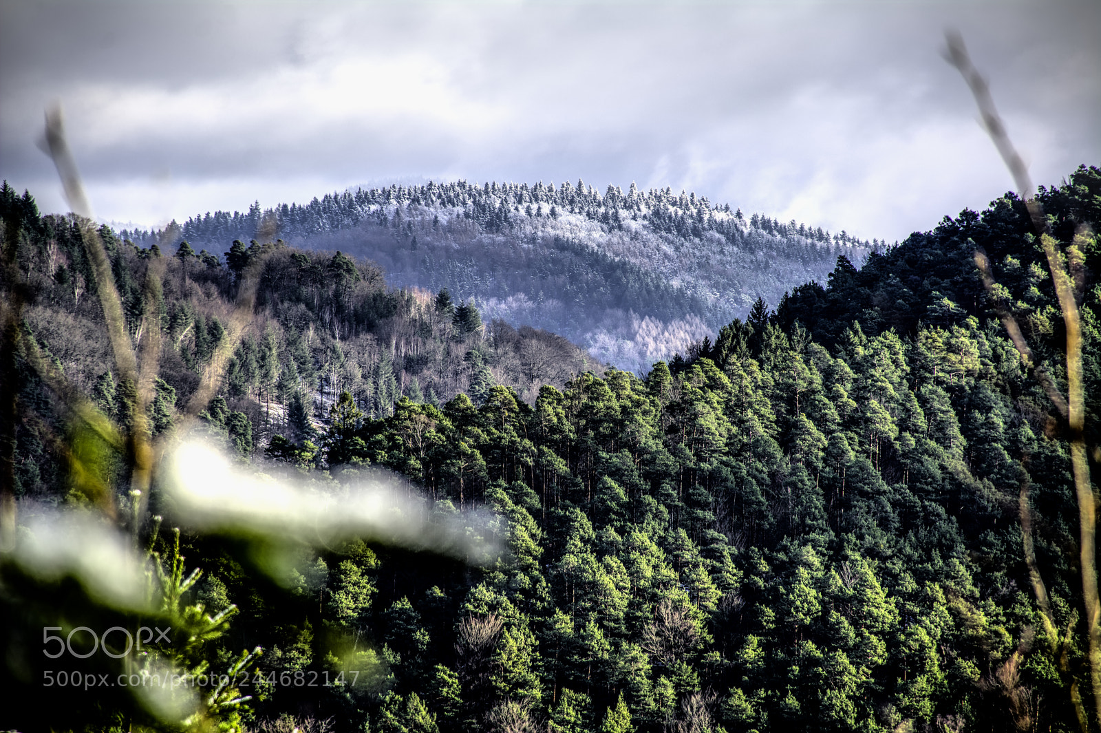 Nikon D7100 sample photo. Palatinate69 photography