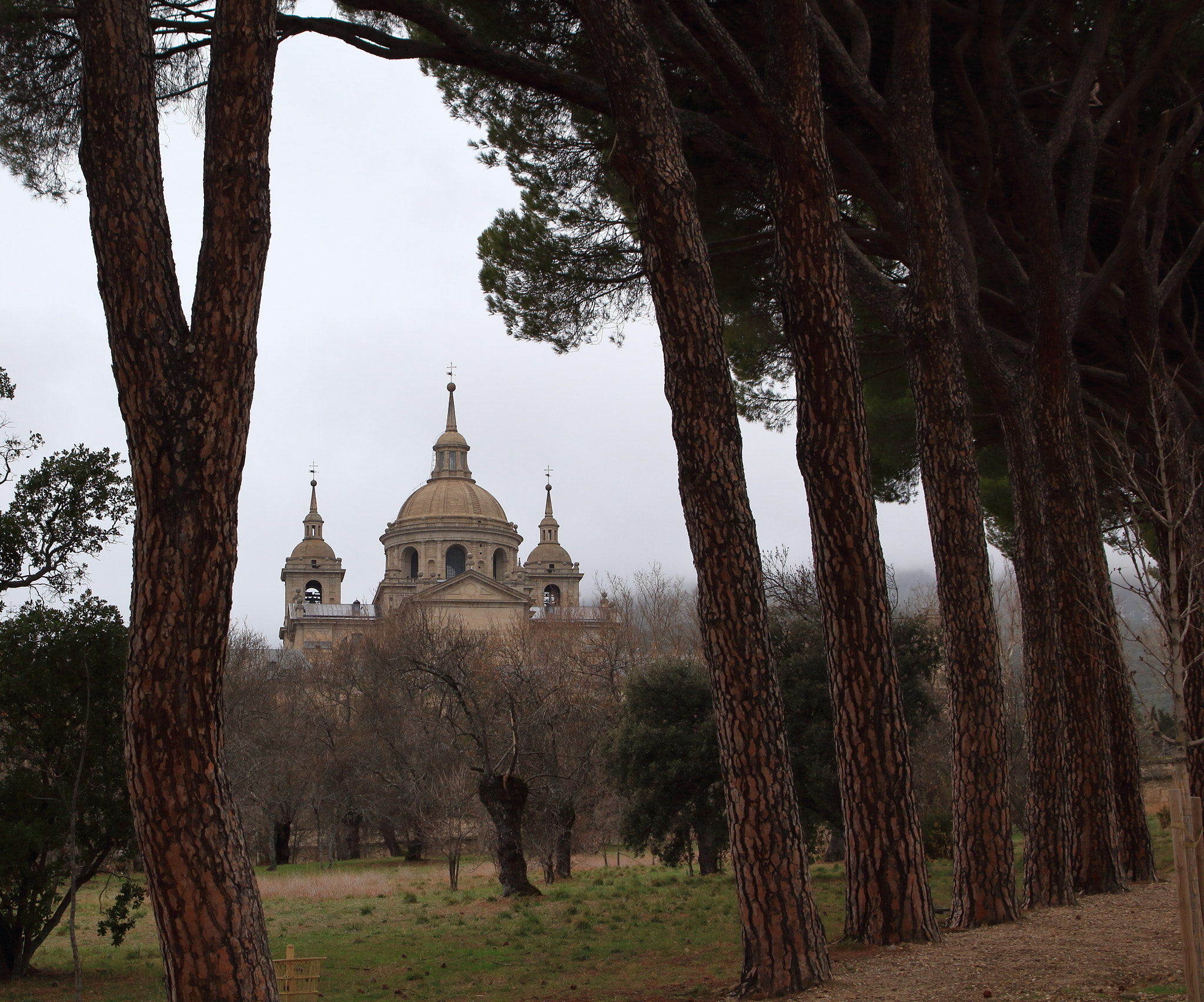 Canon EOS 700D (EOS Rebel T5i / EOS Kiss X7i) + Canon TS-E 90mm F2.8 Tilt-Shift sample photo. Monasterio san lorenzo del escorial photography