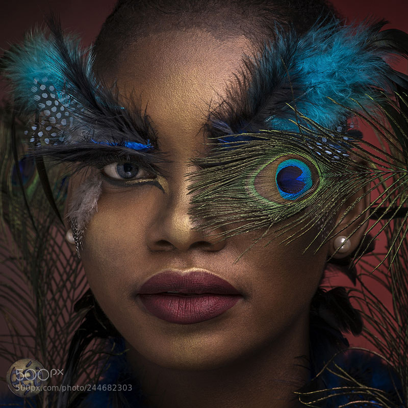 Sony SLT-A99V sample photo. Un regard ...de plumes photography