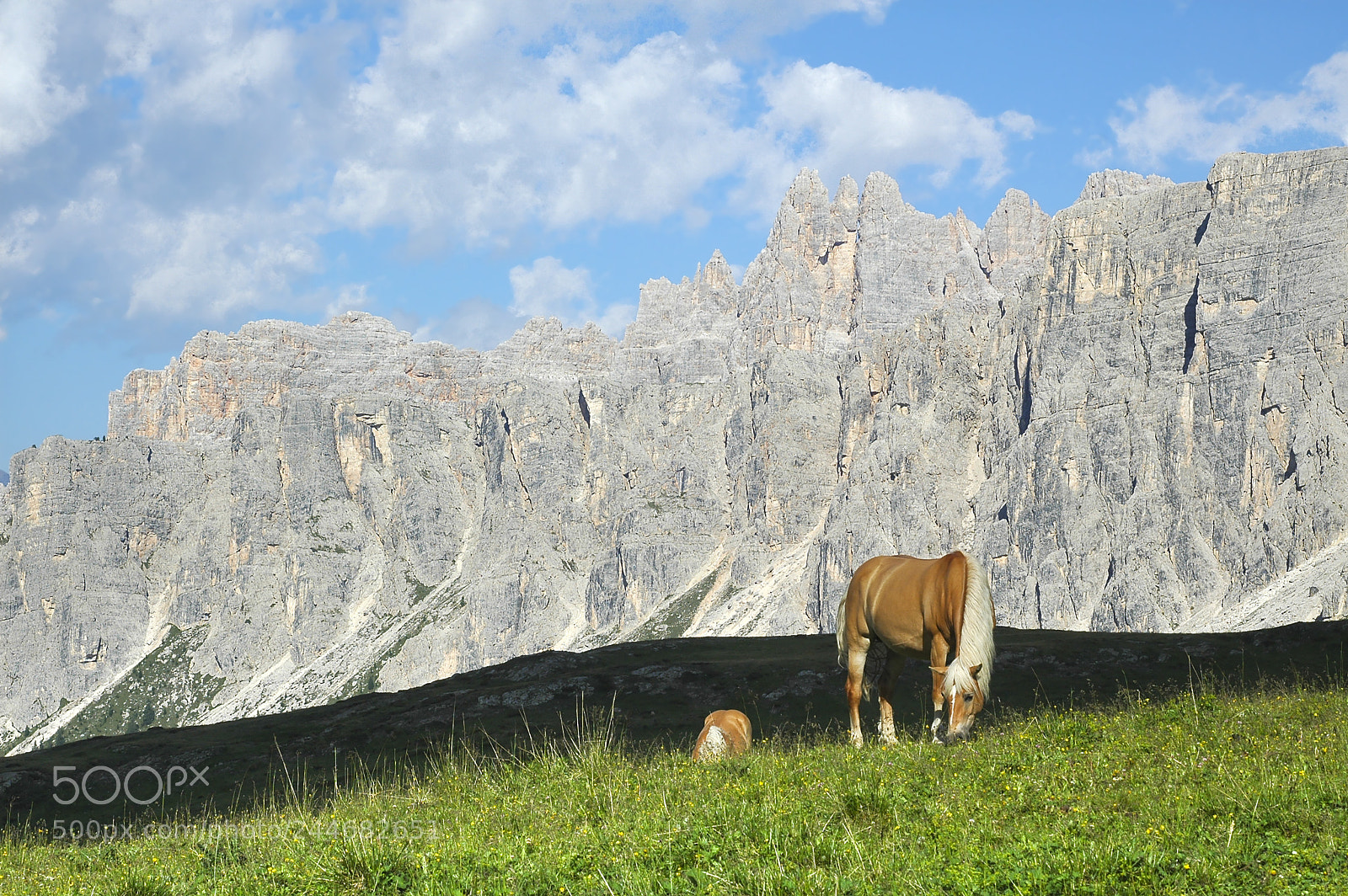 Nikon D70 sample photo. Passo giau, dolomites photography