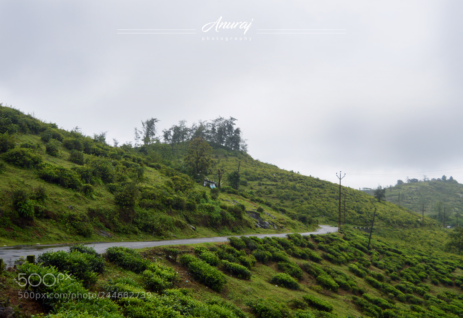 Nikon D3200 sample photo. Vagamon photography