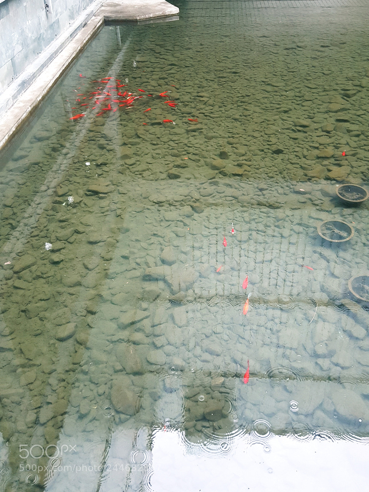 Samsung Galaxy Note5 sample photo. Pond photography