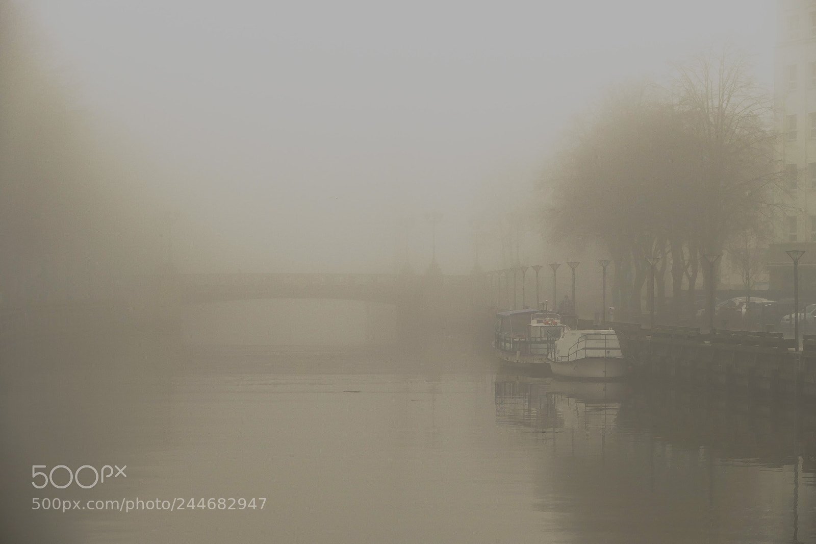 Panasonic Lumix DMC-FZ1000 sample photo. Fog over the river photography