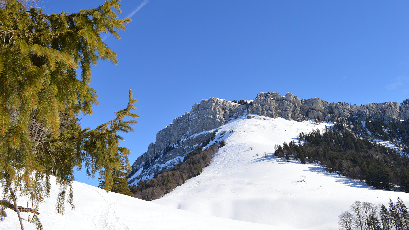 Nikon D3200 sample photo. 25.jpg photography
