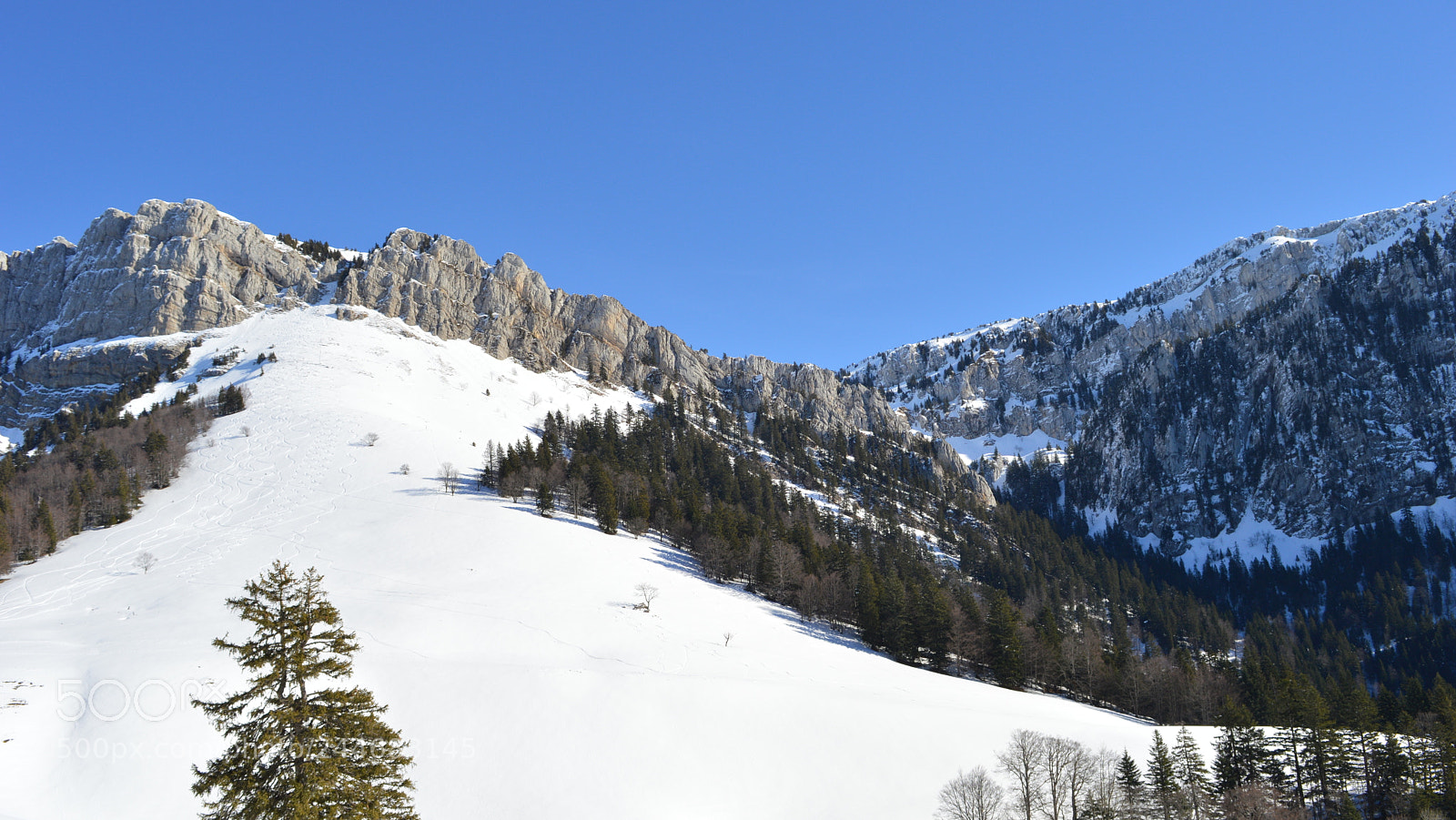 Nikon D3200 sample photo. 46.jpg photography