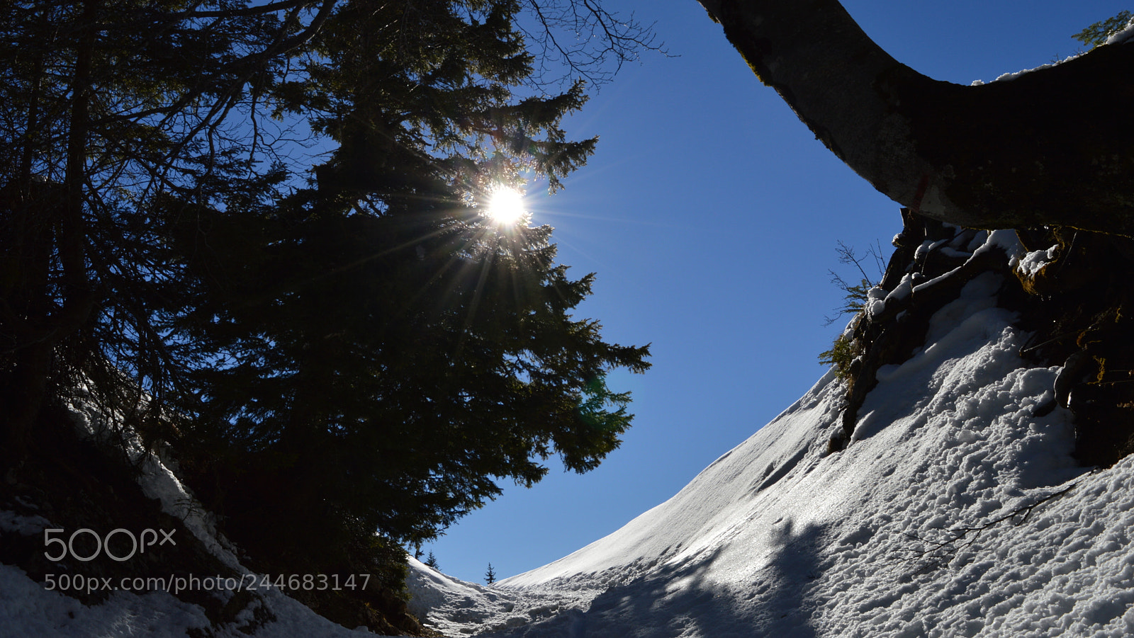 Nikon D3200 sample photo. 52.jpg photography