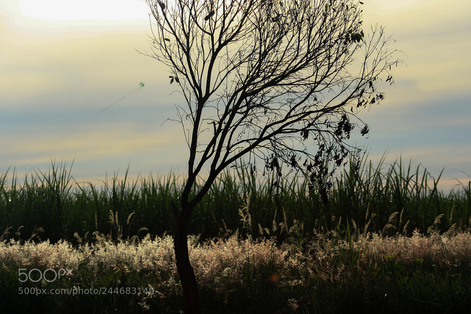 Canon EOS 1000D (EOS Digital Rebel XS / EOS Kiss F) sample photo. Nature landscape photography