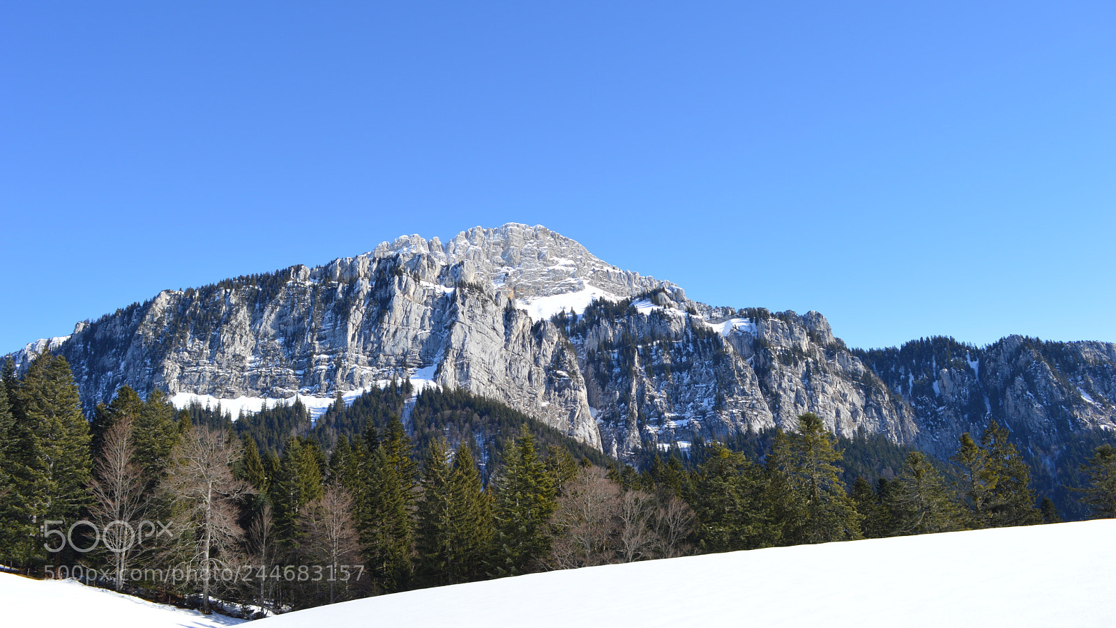 Nikon D3200 sample photo. 67.jpg photography