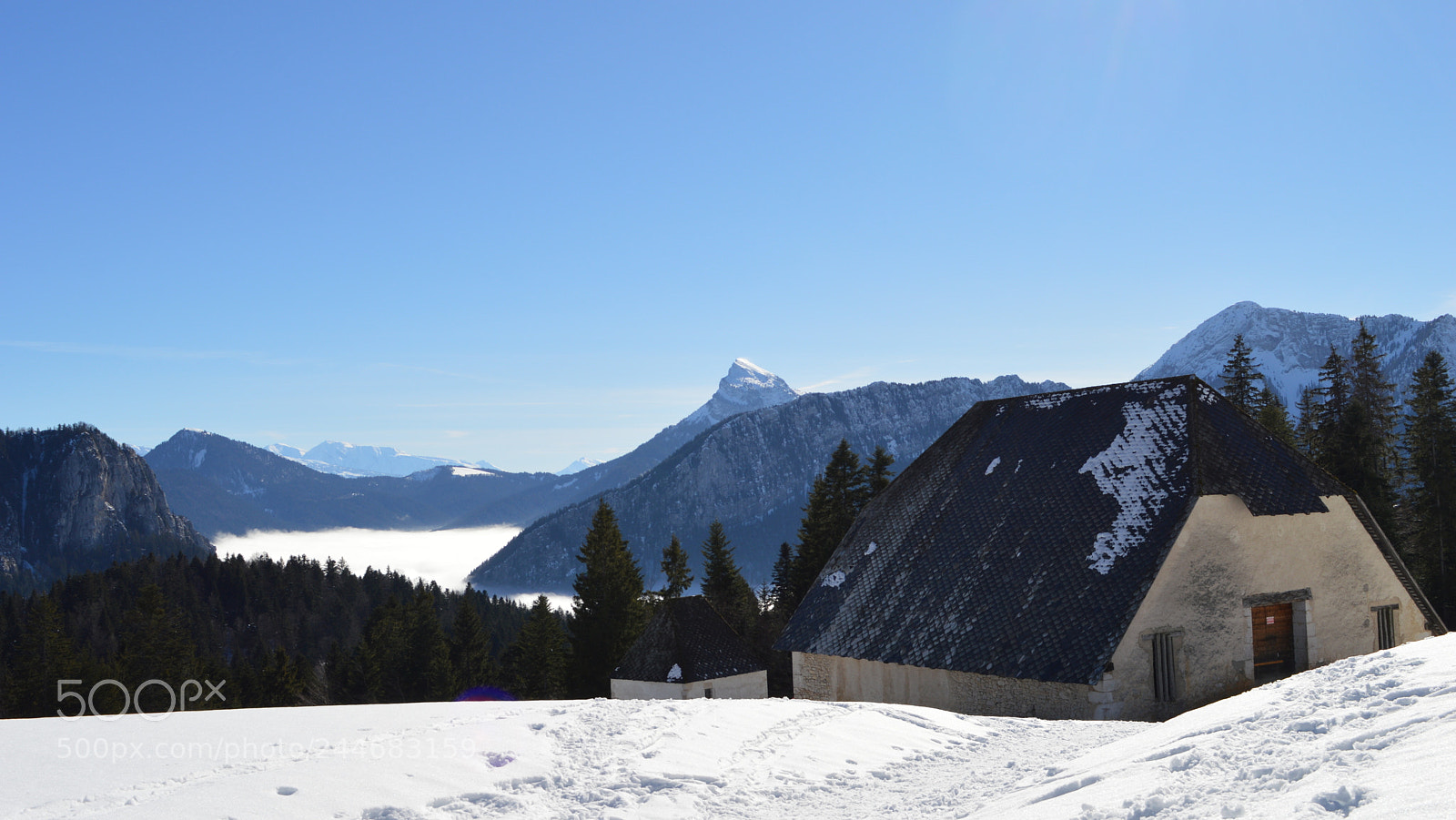 Nikon D3200 sample photo. 69.jpg photography