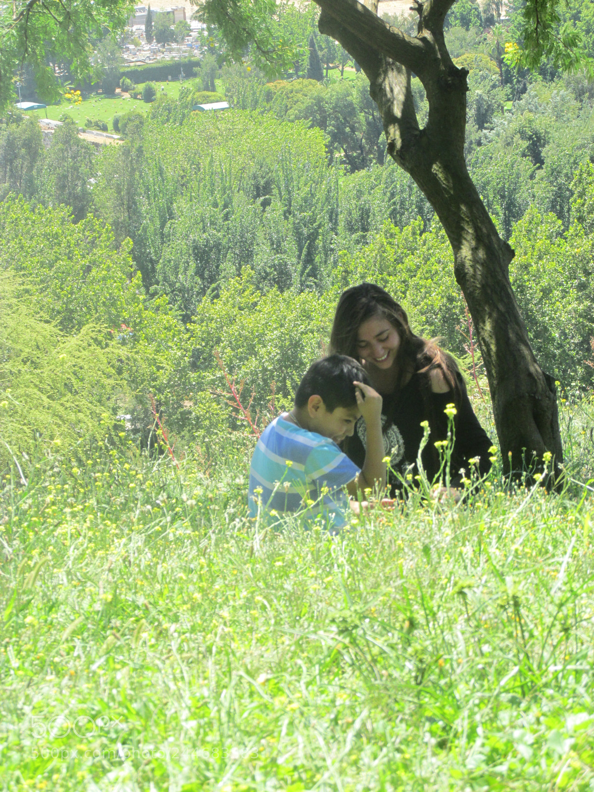 Canon PowerShot SX170 IS sample photo. Untitled photography