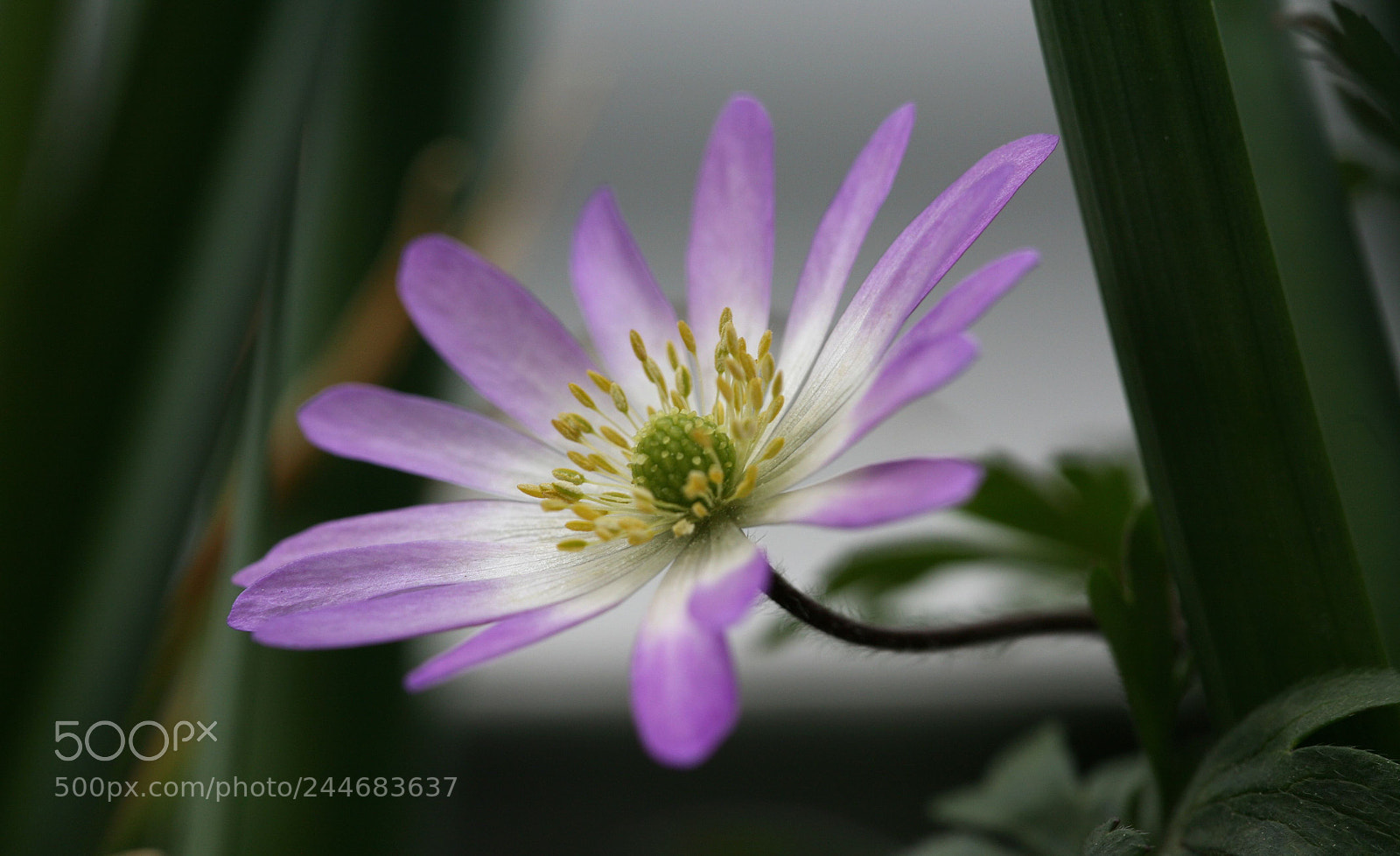 Canon EOS 5D sample photo. Little light photography