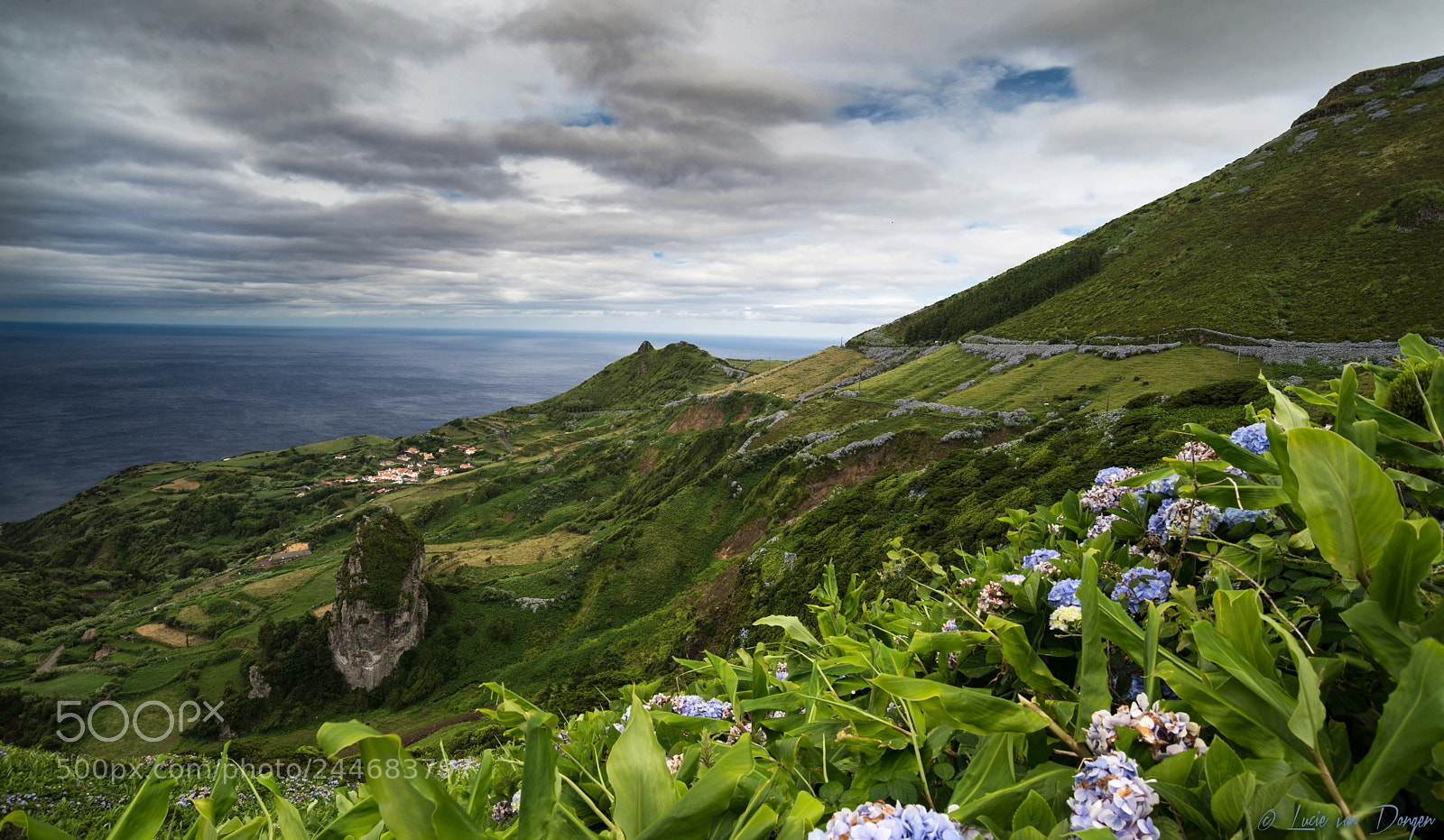 Nikon D610 sample photo. Flores photography