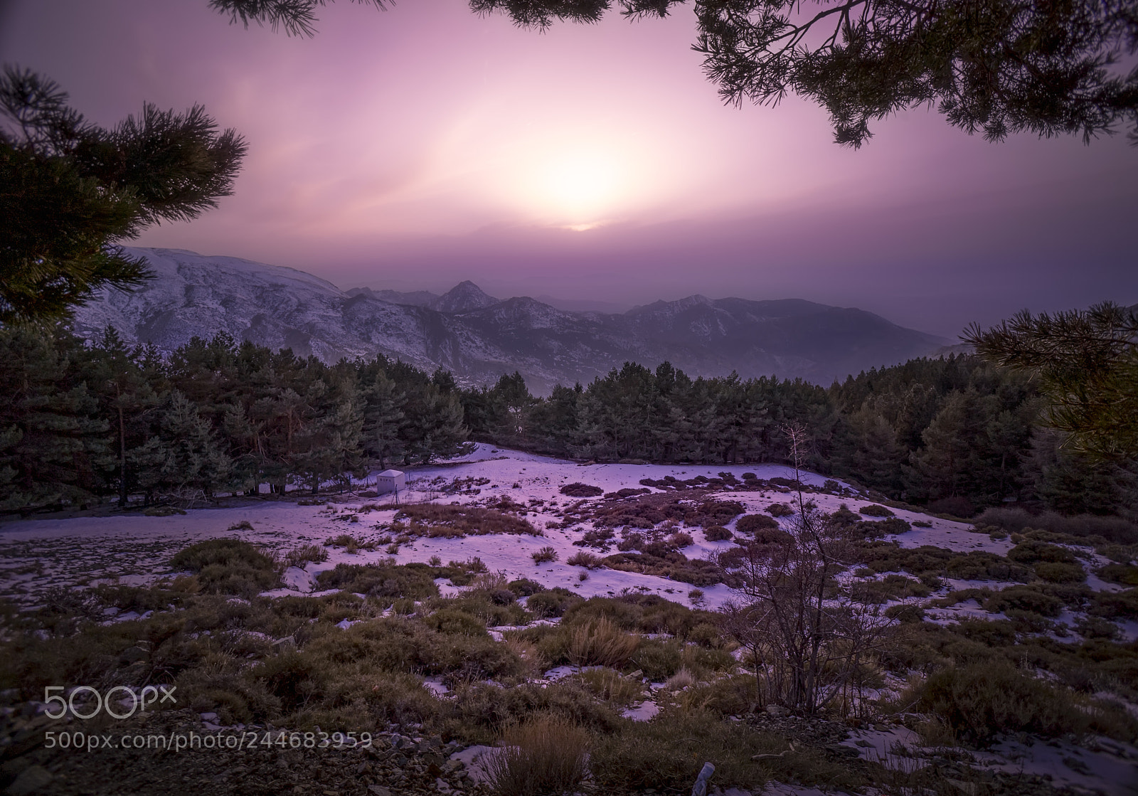 Sony a7R II sample photo. Sunset in sierra nevada photography