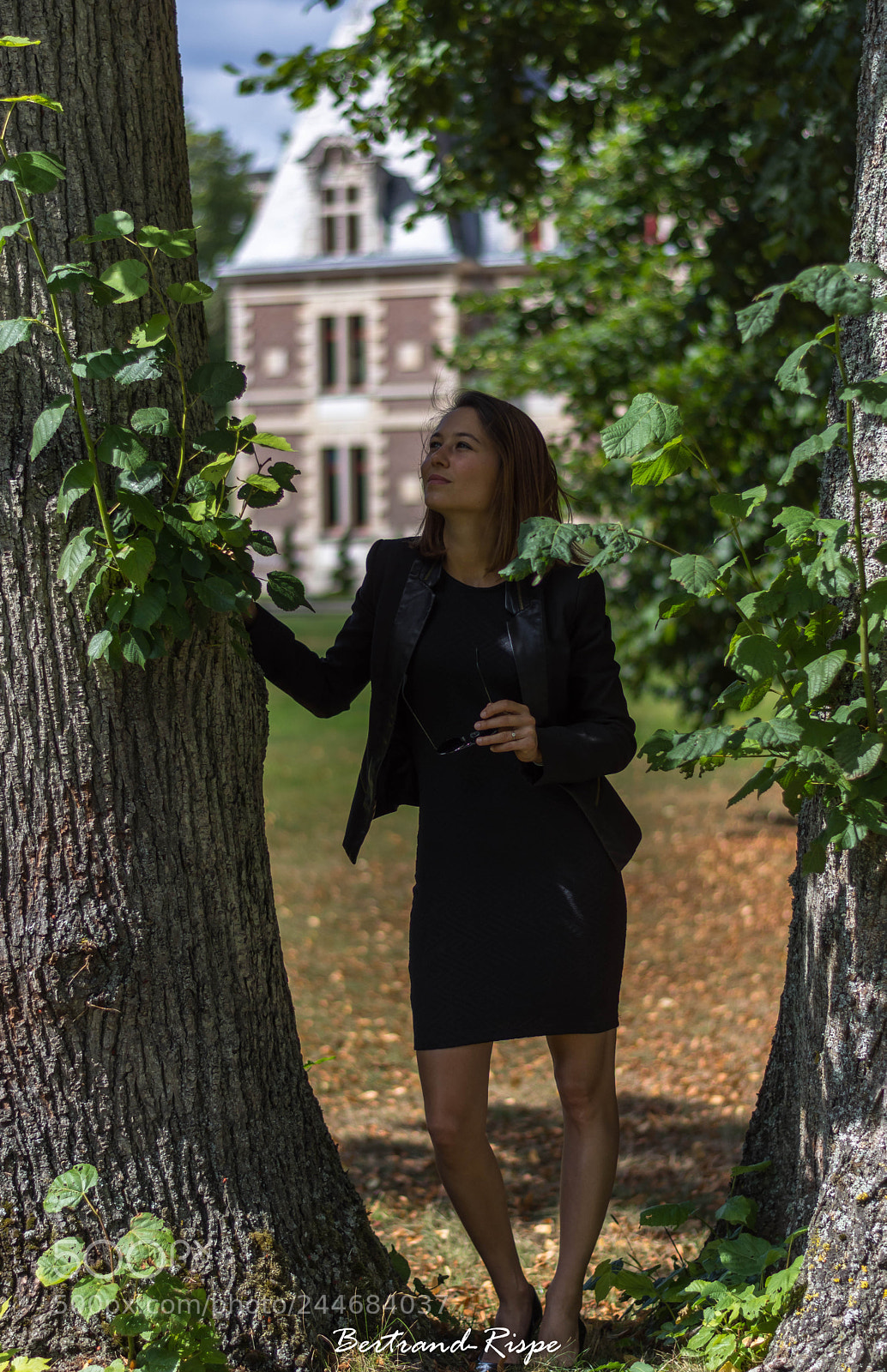 Nikon D7200 sample photo. Entre deux arbres photography