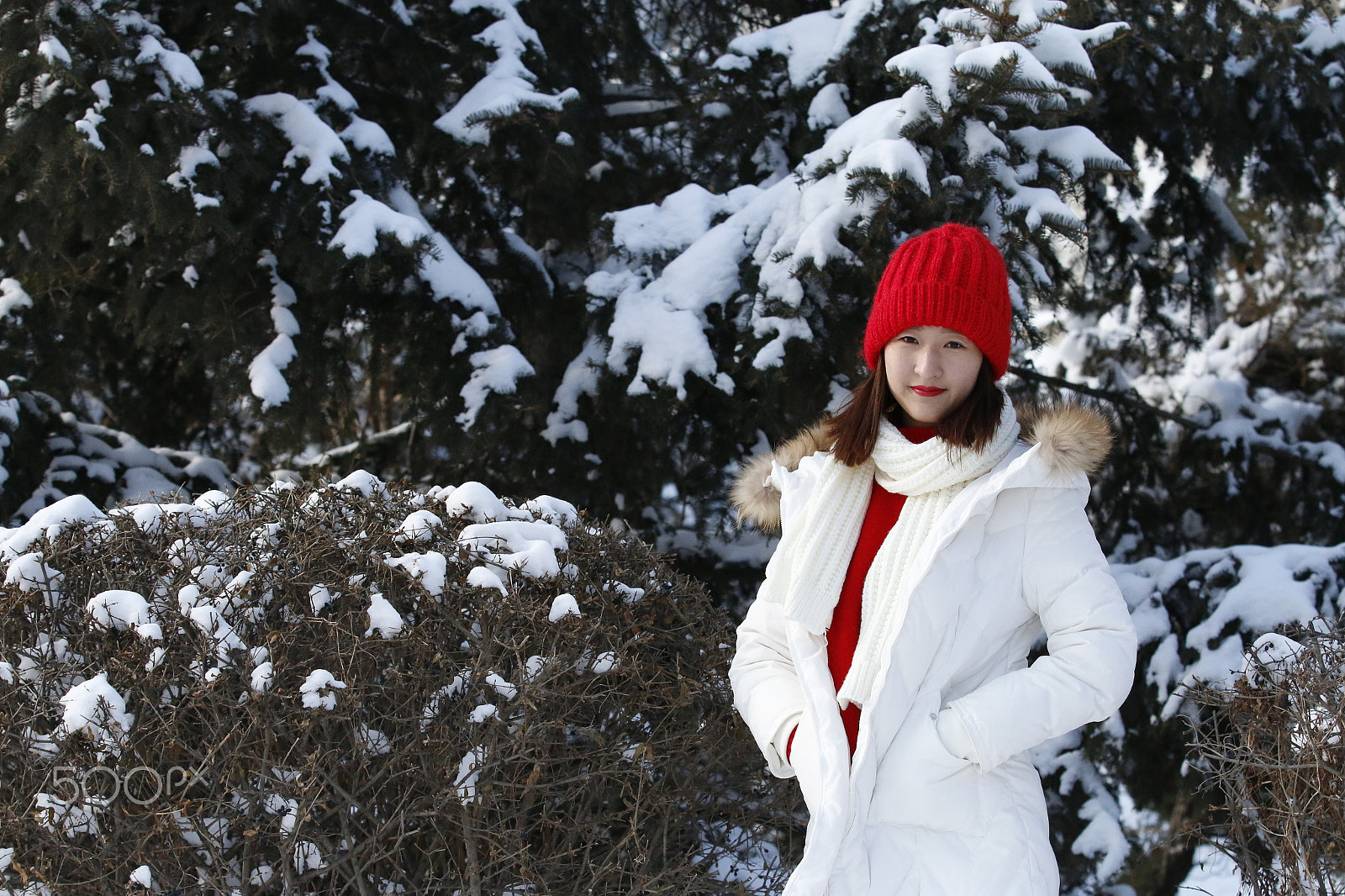 Canon EF 70-200mm F2.8L IS II USM sample photo. The dream of winter photography