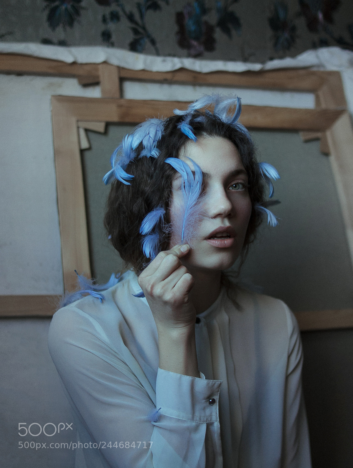 Canon EOS 50D sample photo. Blue bird photography