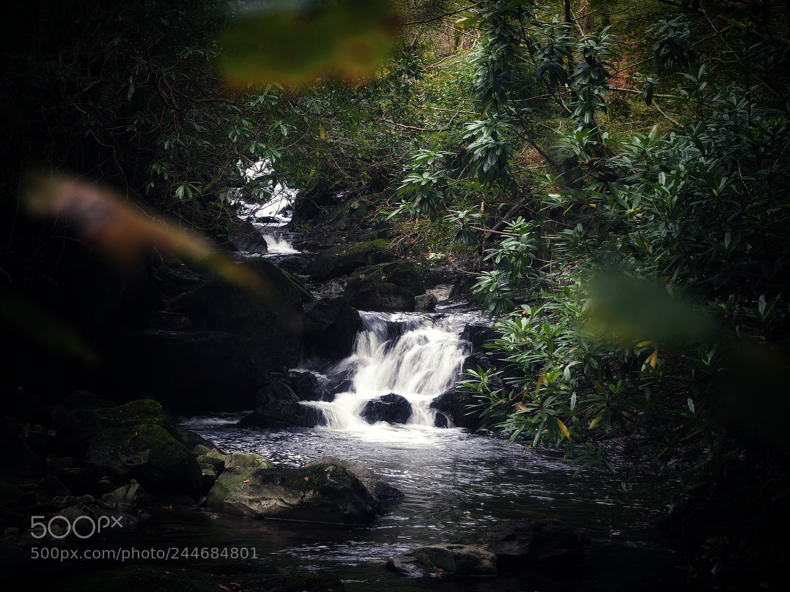 Olympus OM-D E-M10 II sample photo. Woodland waterfall photography