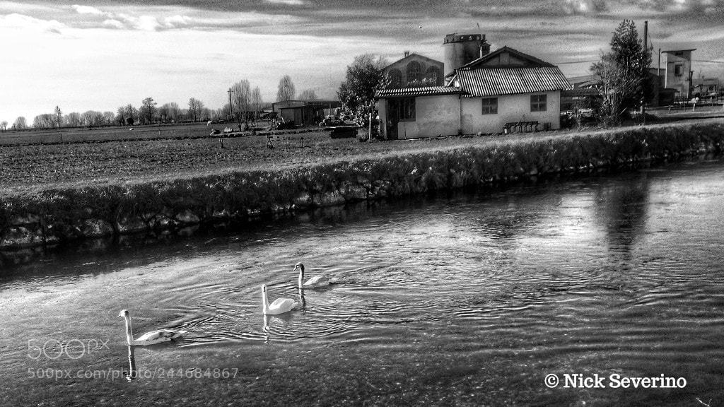 HUAWEI P9 LITE sample photo. Life in the countryside photography
