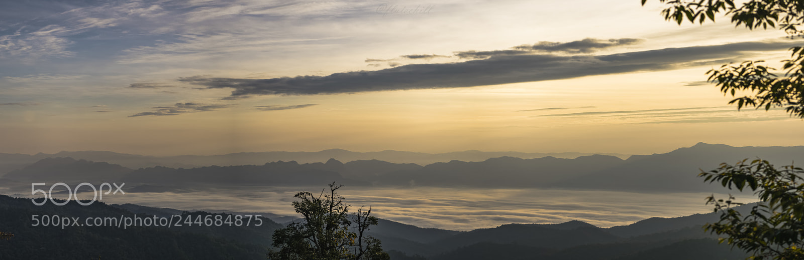Nikon D850 sample photo. Fog sea photography