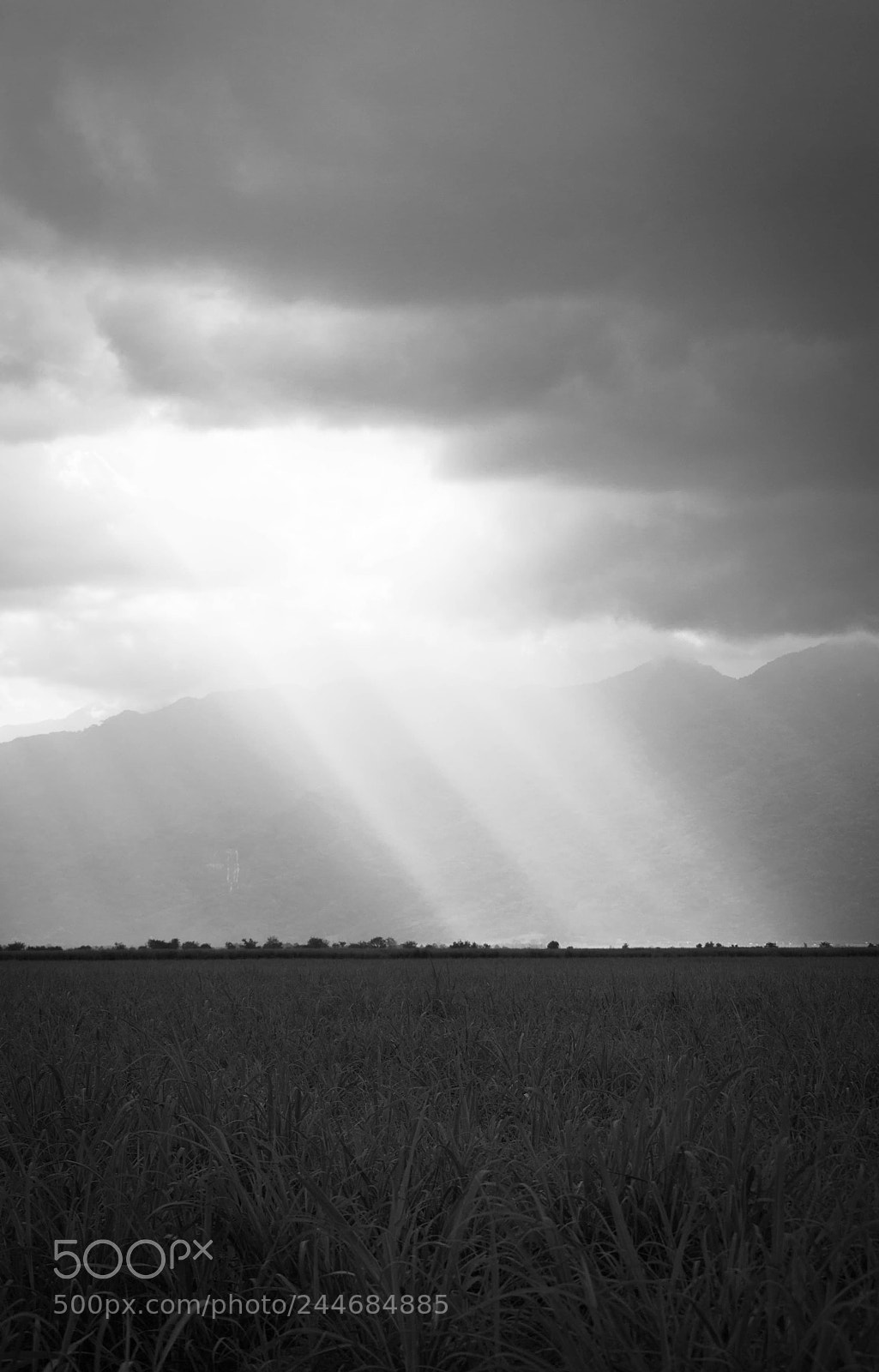 Nikon D3100 sample photo. Where did the mountain photography