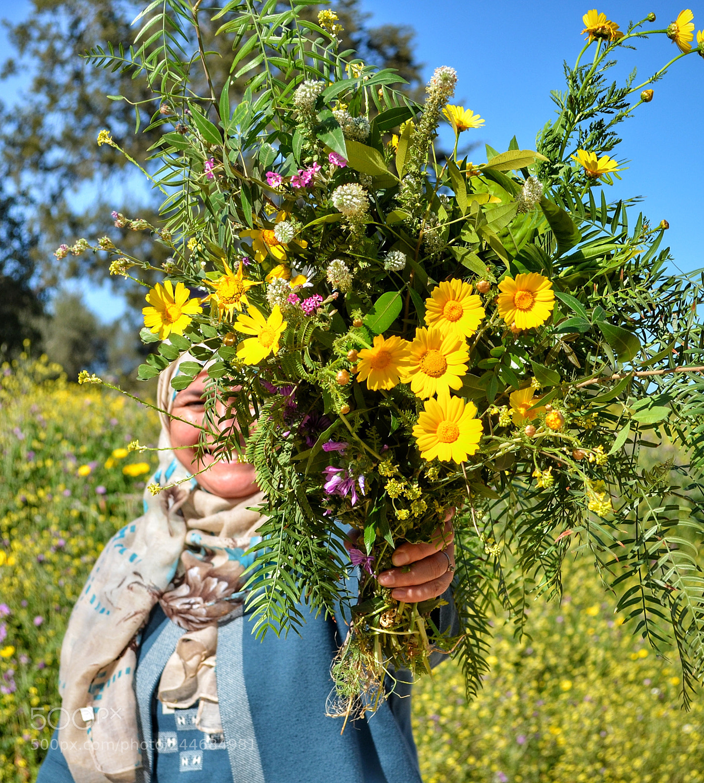 Nikon D5100 sample photo. For you photography