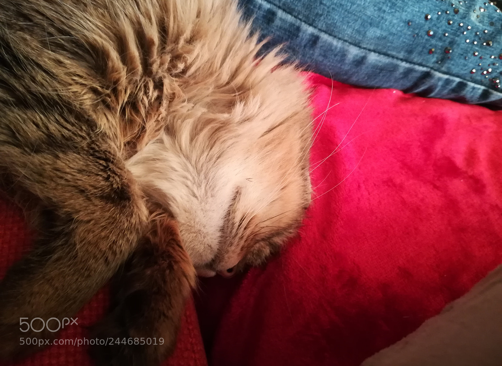 HUAWEI PRA-LX1 sample photo. Untitled photography