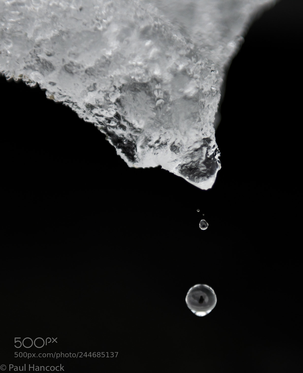 Nikon D810 sample photo. Pearly dewdrops drops photography