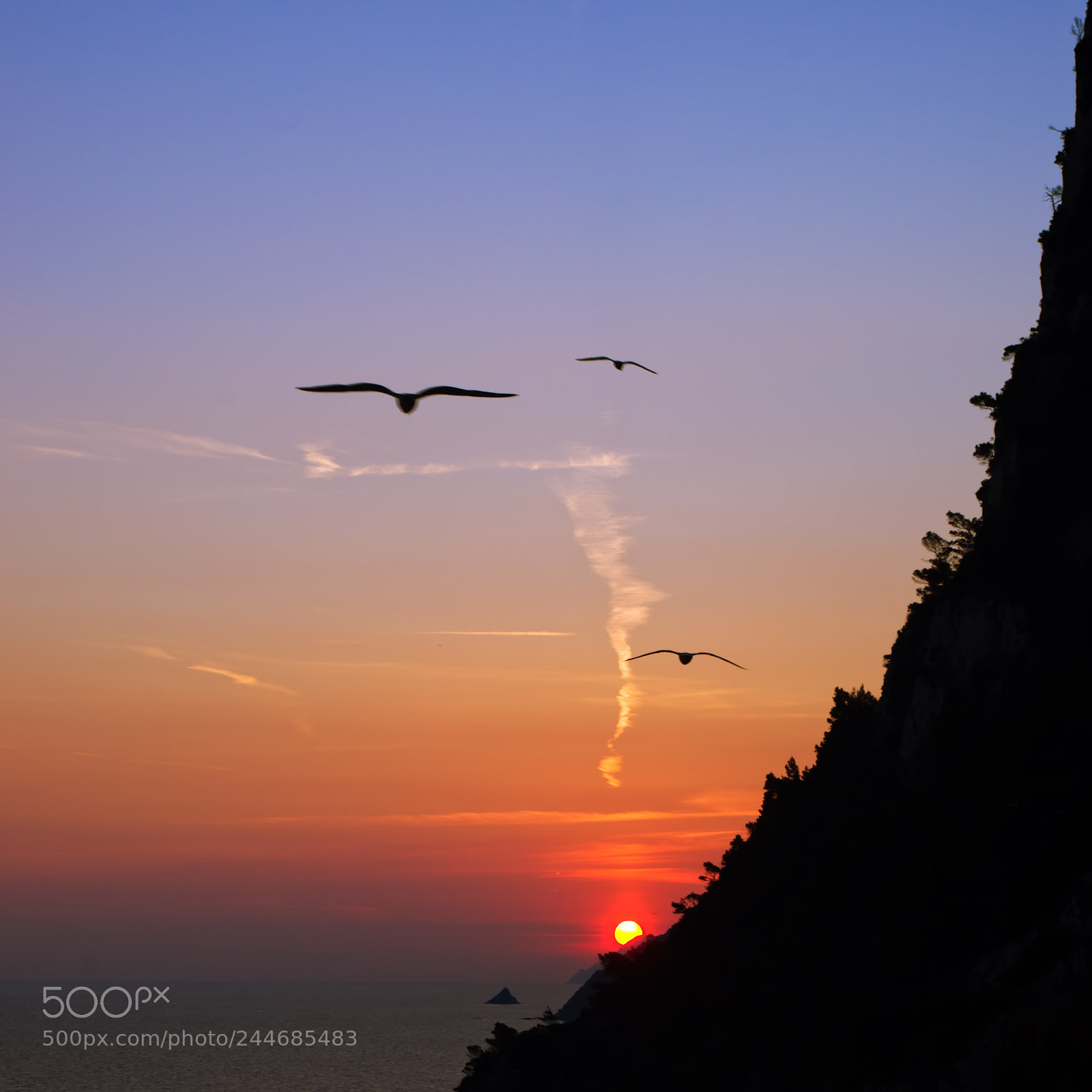 Pentax K-5 sample photo. Sunset & seagulls photography