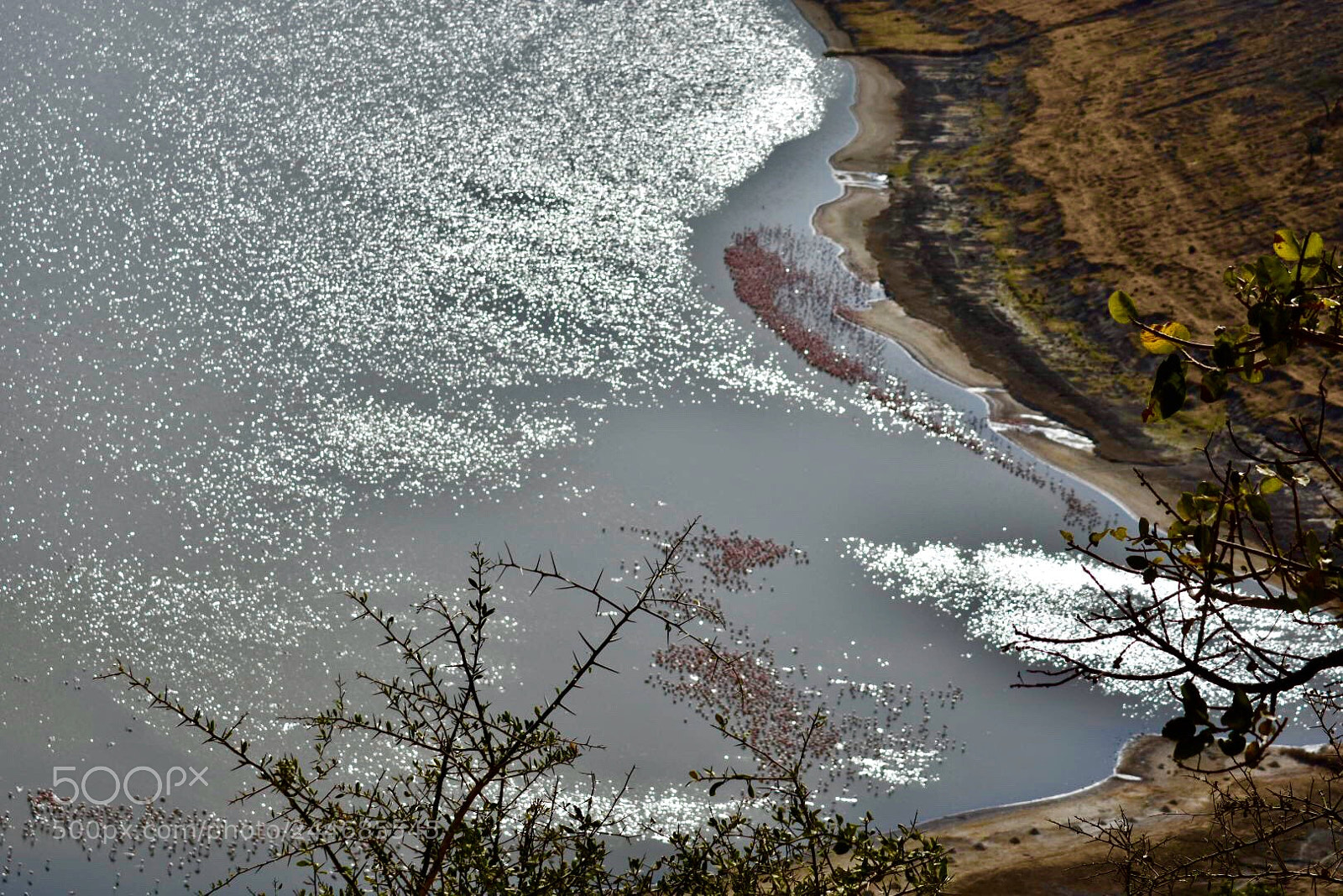 Nikon D7200 sample photo. More natural views photography
