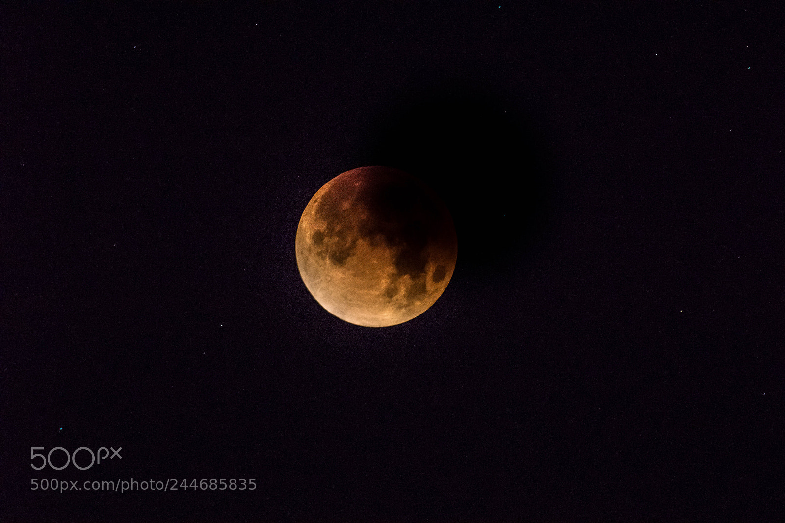 Sony ILCA-77M2 sample photo. #superbluebloodmoon ? photography