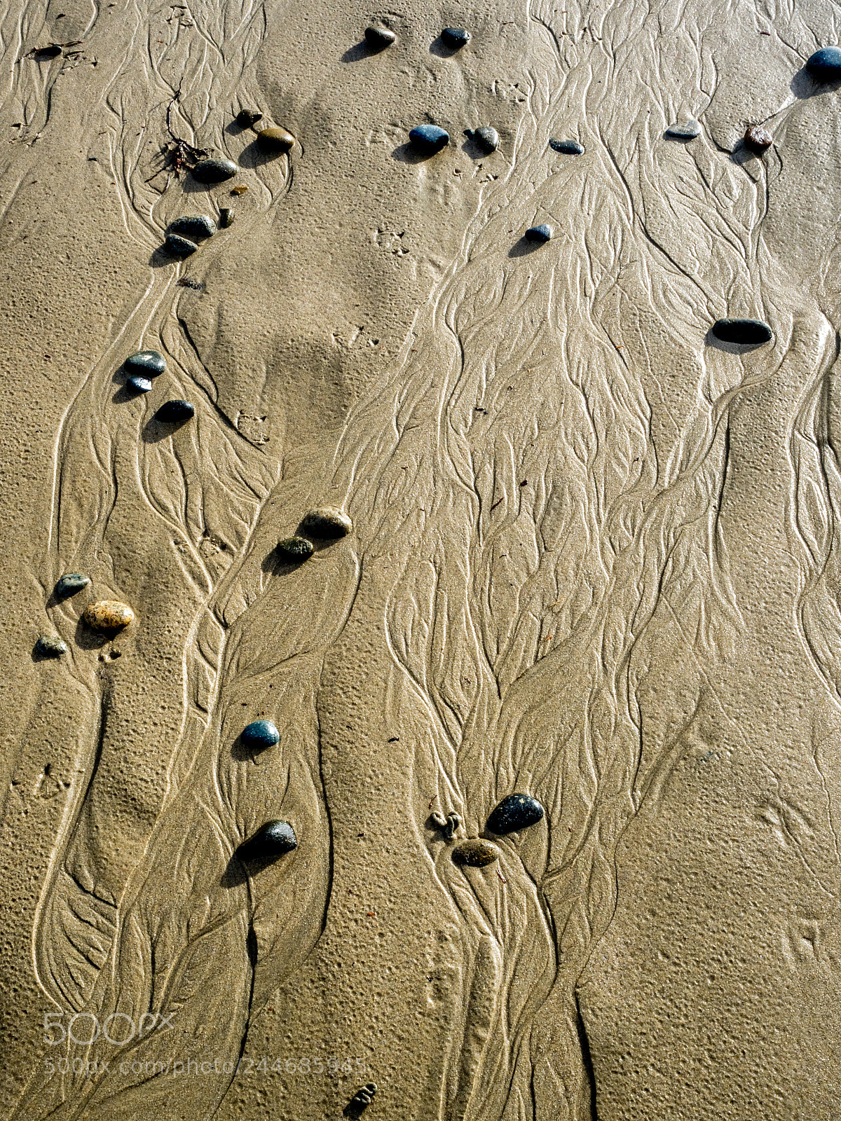 Olympus OM-D E-M1 Mark II sample photo. Sable @ louannec bretagne photography