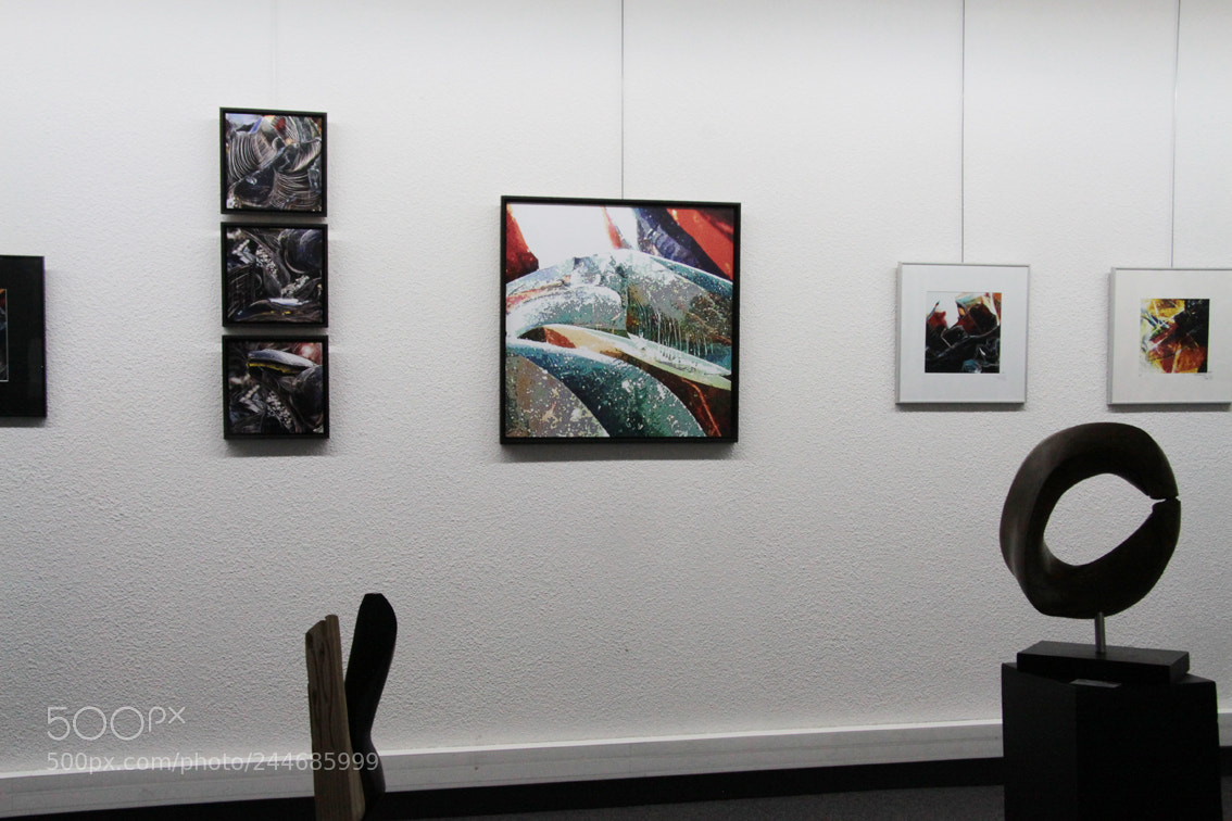 Canon EOS 50D sample photo. Img photography