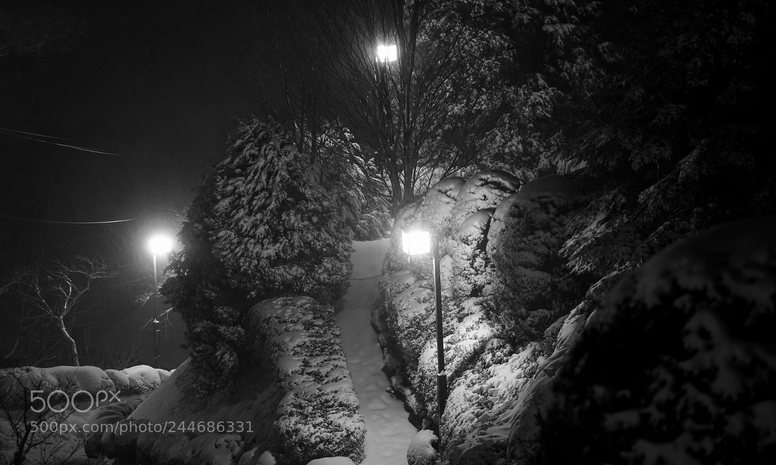 Sony a7R II sample photo. Lights in snow photography