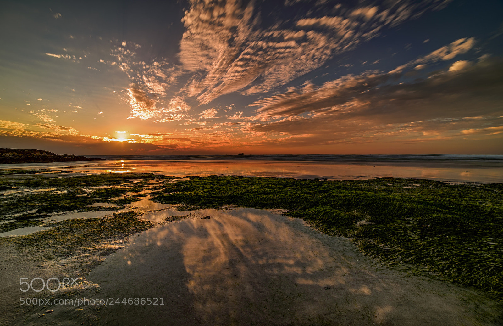 Nikon D610 sample photo. Sunset over arabian gulf photography