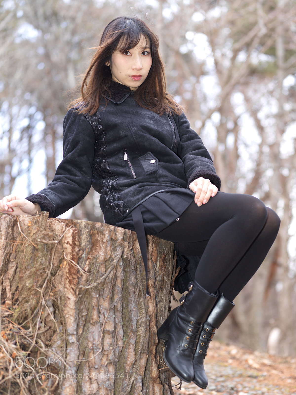 Hasselblad X1D-50c sample photo. Sitting on a stump photography