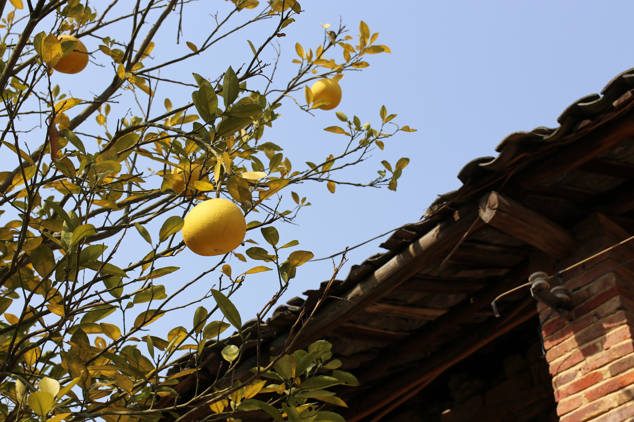 Canon EF-S 17-55mm F2.8 IS USM sample photo