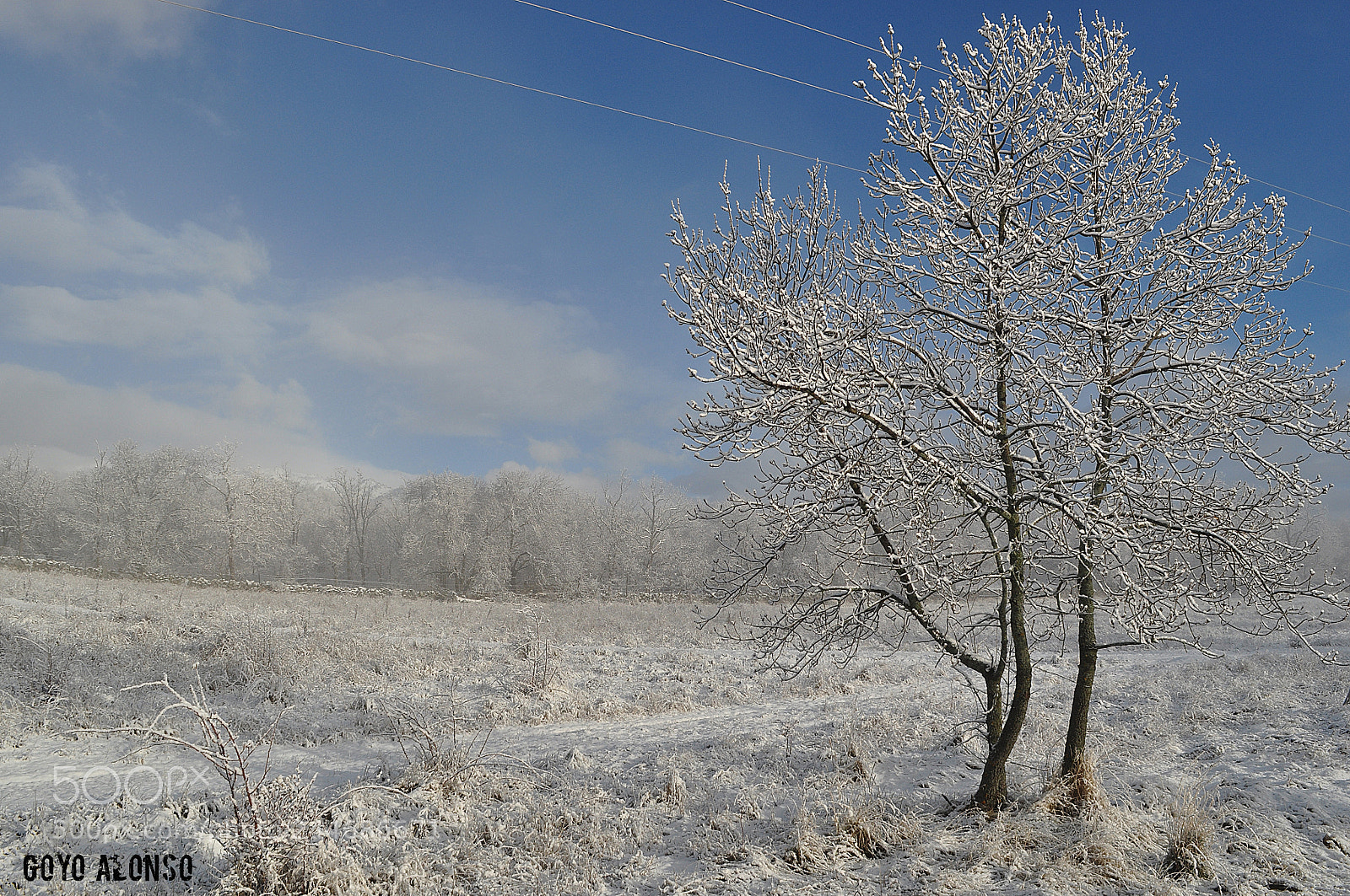 Nikon D5000 sample photo. Nieves photography